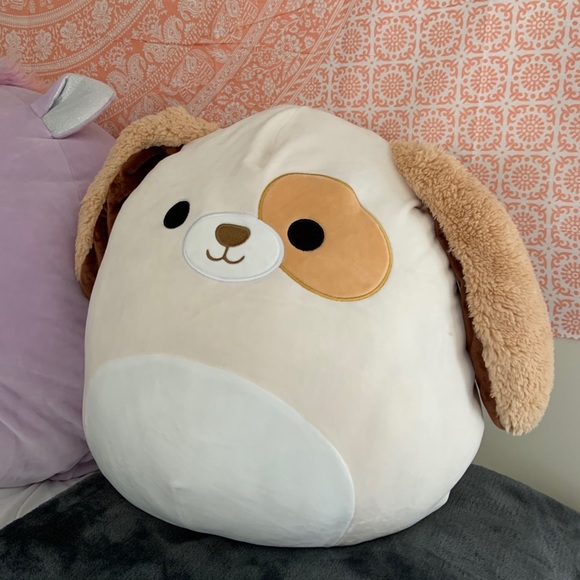 Meet your Posher, Lindsey - Picture 1 of 1